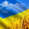 Саф‘янівська громада відзначила День Державного Прапора України 17