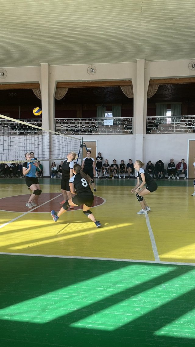 В селі Кам’янка відбулись змагання з волейболу 5
