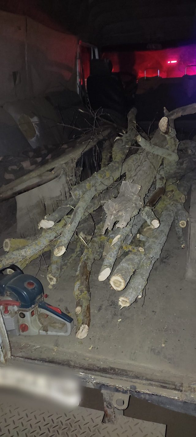 Поліцейські офіцери Саф'янівської громади затримали чоловіка за незаконне спилювання дерев 9
