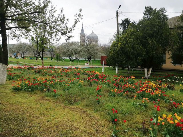 У Саф'янівській громаді розквітли квітники Перемоги 11
