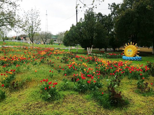 У Саф'янівській громаді розквітли квітники Перемоги 35