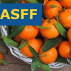 Повідомлення RASFF стосовно виявлення диметоату в мандаринах з Єгипту, що експортувались з Греції 1