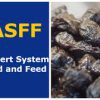 RASFF: в експортній партії сушених слив виявлено пестициди 1